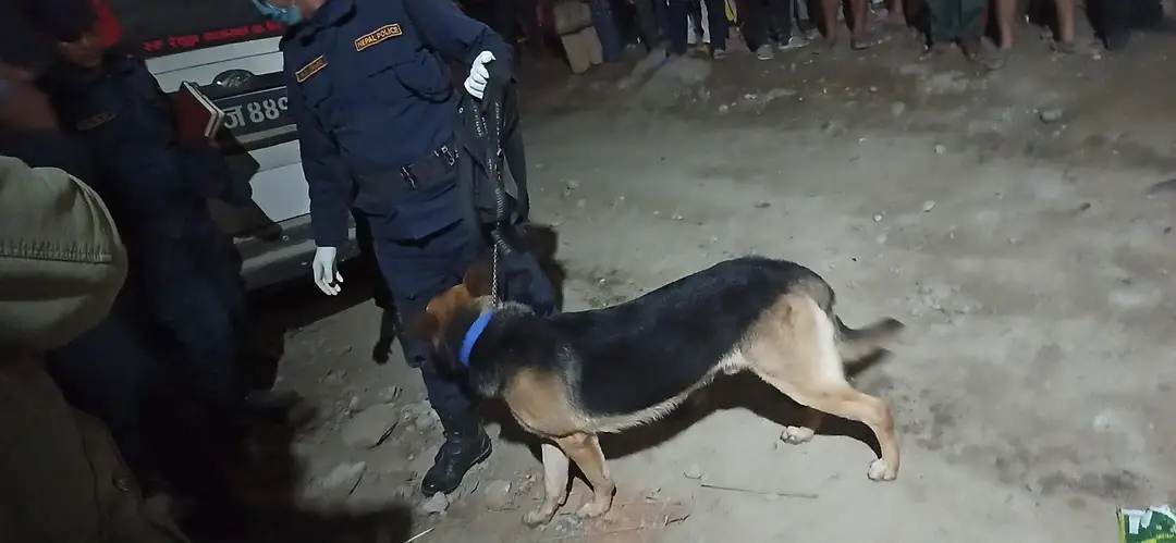 गुल्मीमा मृत फेला परेकी महिलाको तालिम प्राप्त कुकुरद्वारा अनुसन्धान सुरु