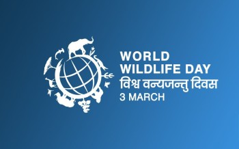 आज मार्च ३ अर्थात् विश्व वन्यजन्तु दिवस