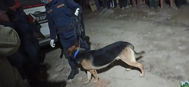 गुल्मीमा मृत फेला परेकी महिलाको तालिम प्राप्त कुकुरद्वारा अनुसन्धान सुरु