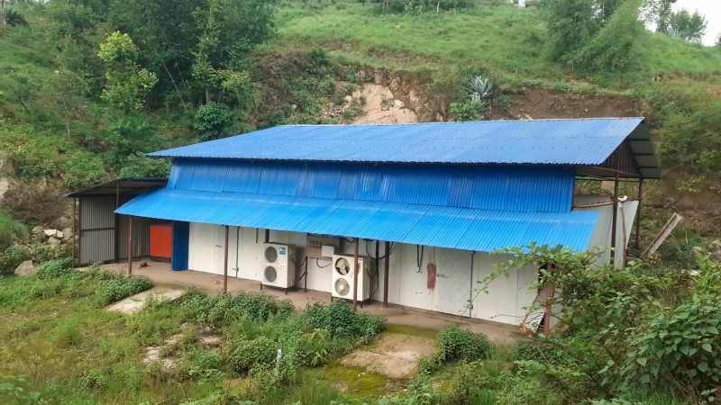 प्रयोगमा नआउदै भत्कियो कोल्डस्टोरको भवन