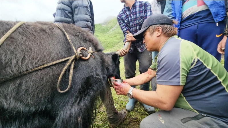 अनौठो प्रचलन : चौंरीको खुन खाने मेलामा मानिसहरुको भीड