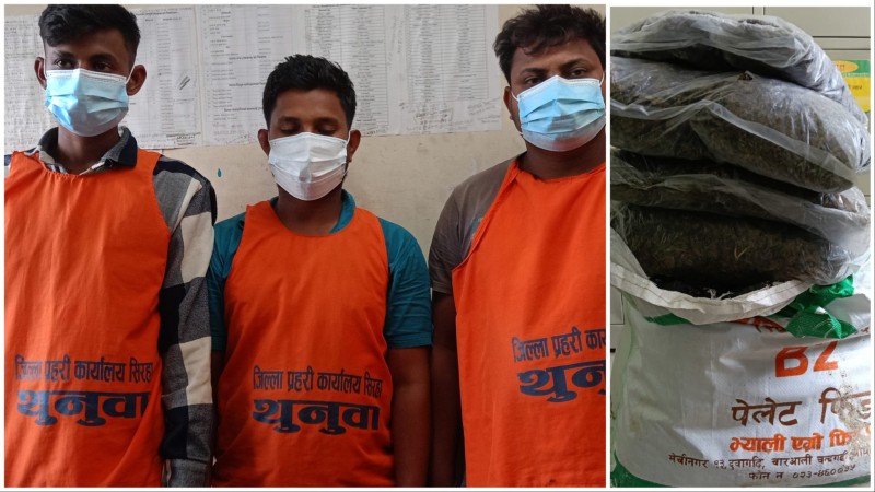 करिब ३२ किलो गाँजासहित तीन जना पक्राउ
