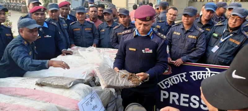 सप्तरीबाट आठ सय किलो बढी गाँजा बरामद