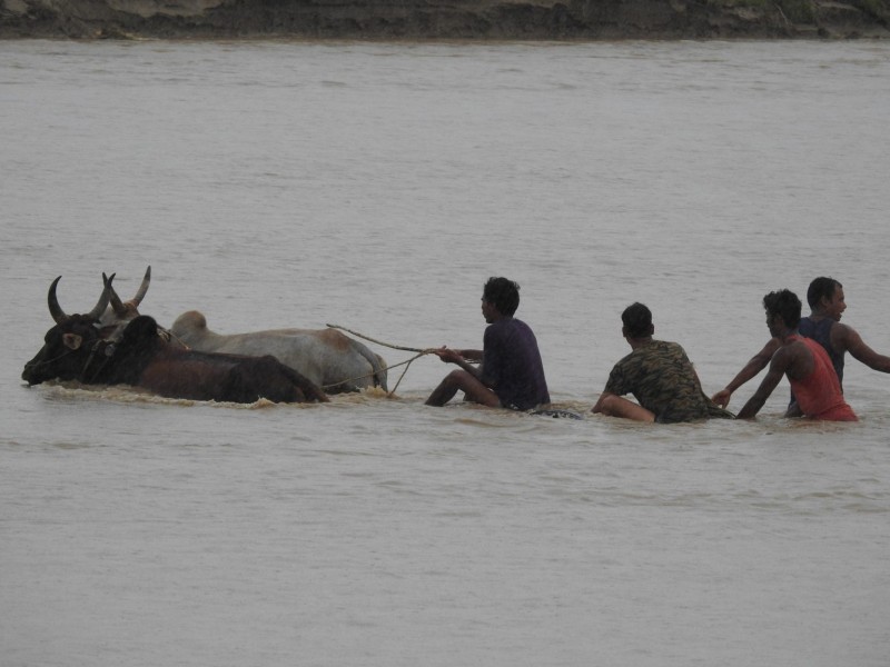 तस्वीरमा बाढीको वितण्डता