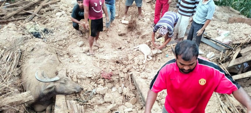 स्याङ्जामा पहिरो : एक जनाको मृत्यु, एक जना घाइते