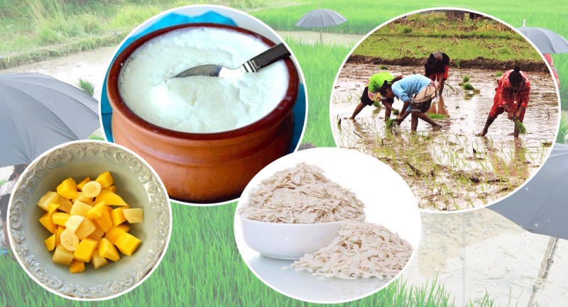 दहीच्युराको संस्कृतिलाई निरन्तरता दिने दिन असार १५