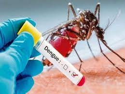 जनवरीदेखि ६ अगस्टसम्म डेंगु संक्रमितको संख्या ७ हजार ७३३