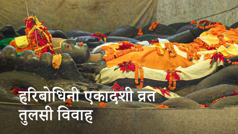 हरि बोधिनी एकादशी: तुलसी र दामोदरको विवाह गरिँदै