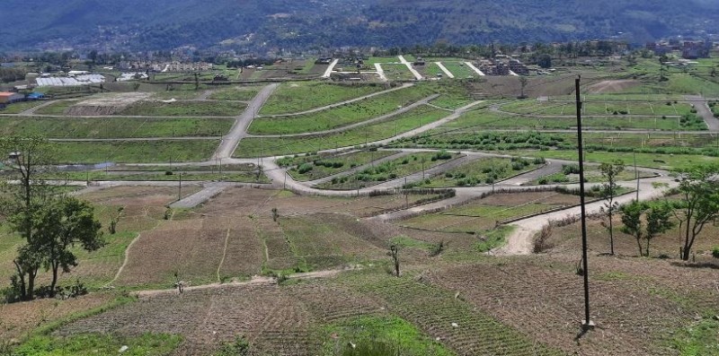 घरजग्गा कारोबार घट्दो