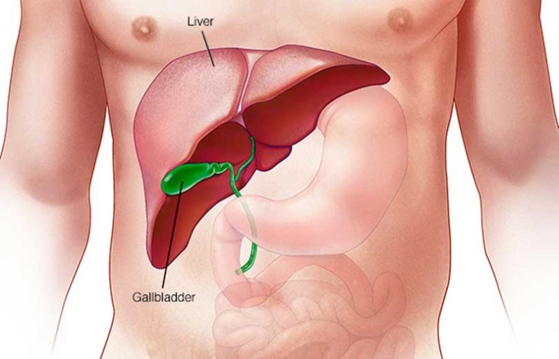 कलेजो बिग्रीएको कसरी थाहा पाउने ? कारण, लक्षण र जोगिने उपाए