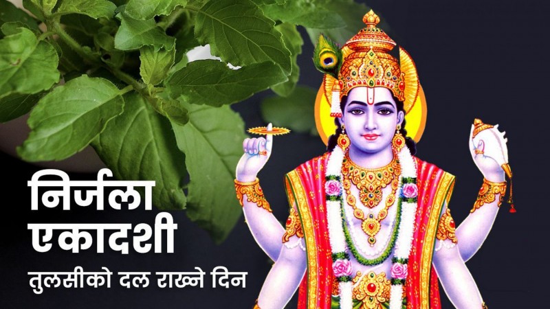 निर्जला एकादशी: घर घरमा तुलसीको दल राखिँदै