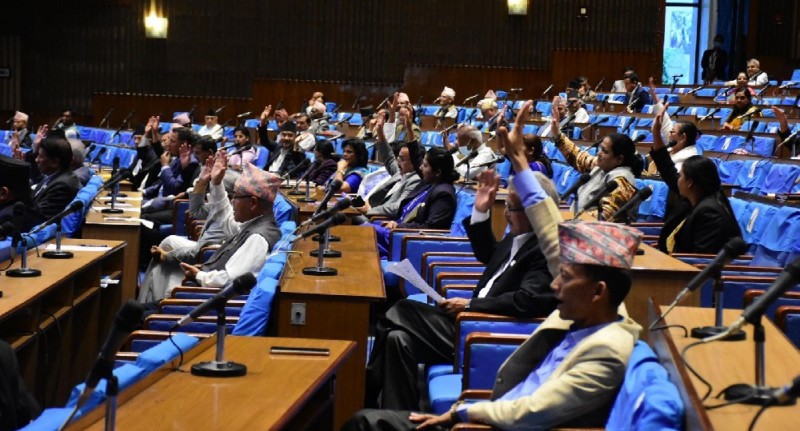 नागरिकता विधेयक, विपद् व्यवस्थापन र मूल्यवृद्धिमा सांसदको प्रश्न