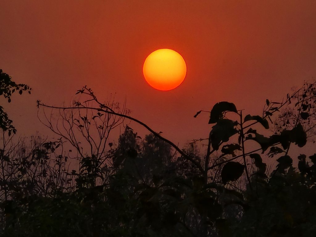 आजदेखि २०८१ साल सुरु, धुमधामले मनाइँदै नयाँ वर्ष
