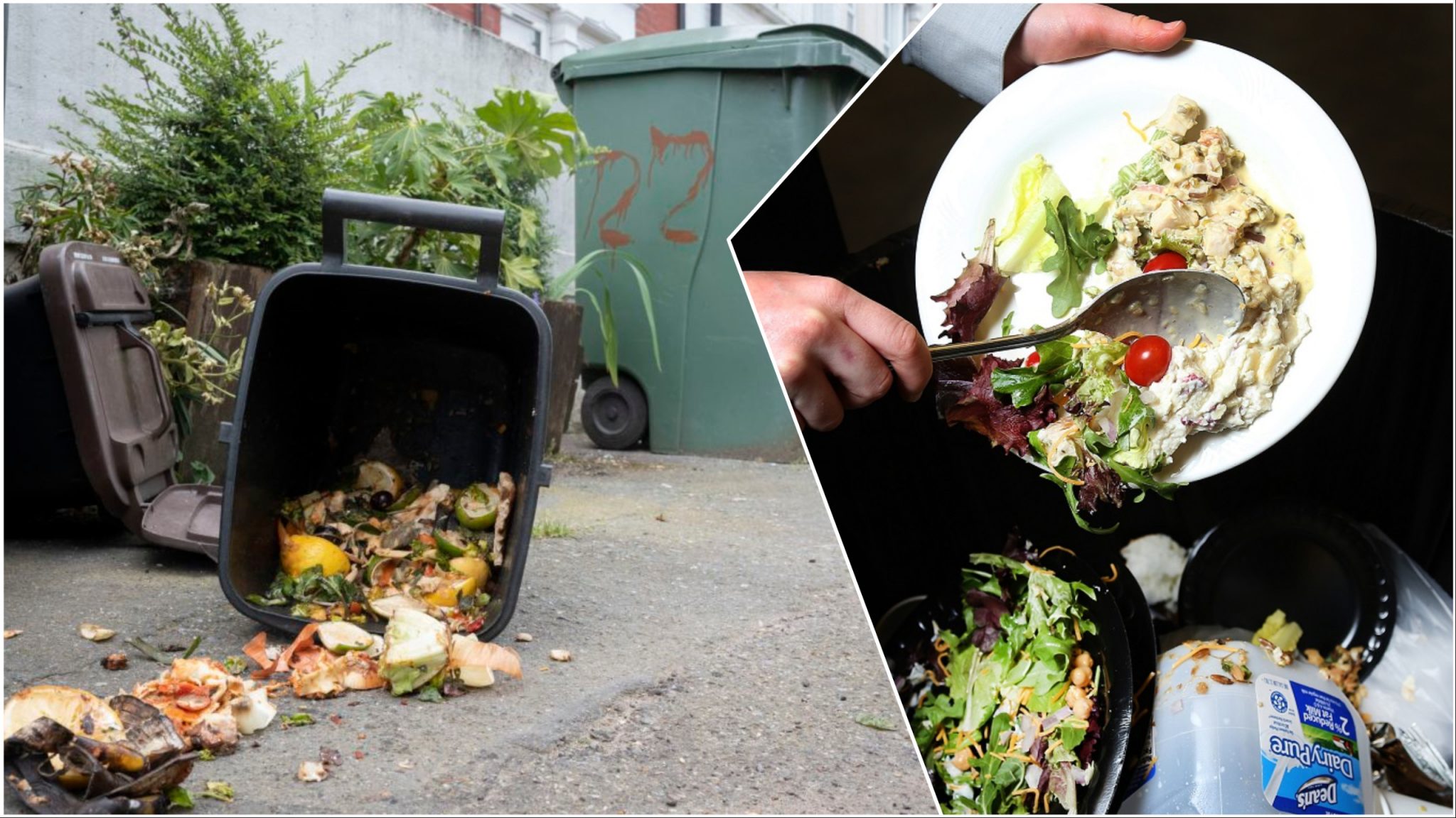 घरपरिवारले एक दिनमा एक अर्ब डलरको खाना खेर फाल्छन्