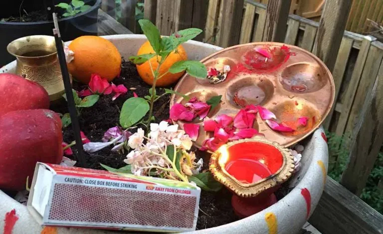 आज हरिशयनी एकादशी, घरघरमा तुलसीको विरुवा रोपी मनाइँदै