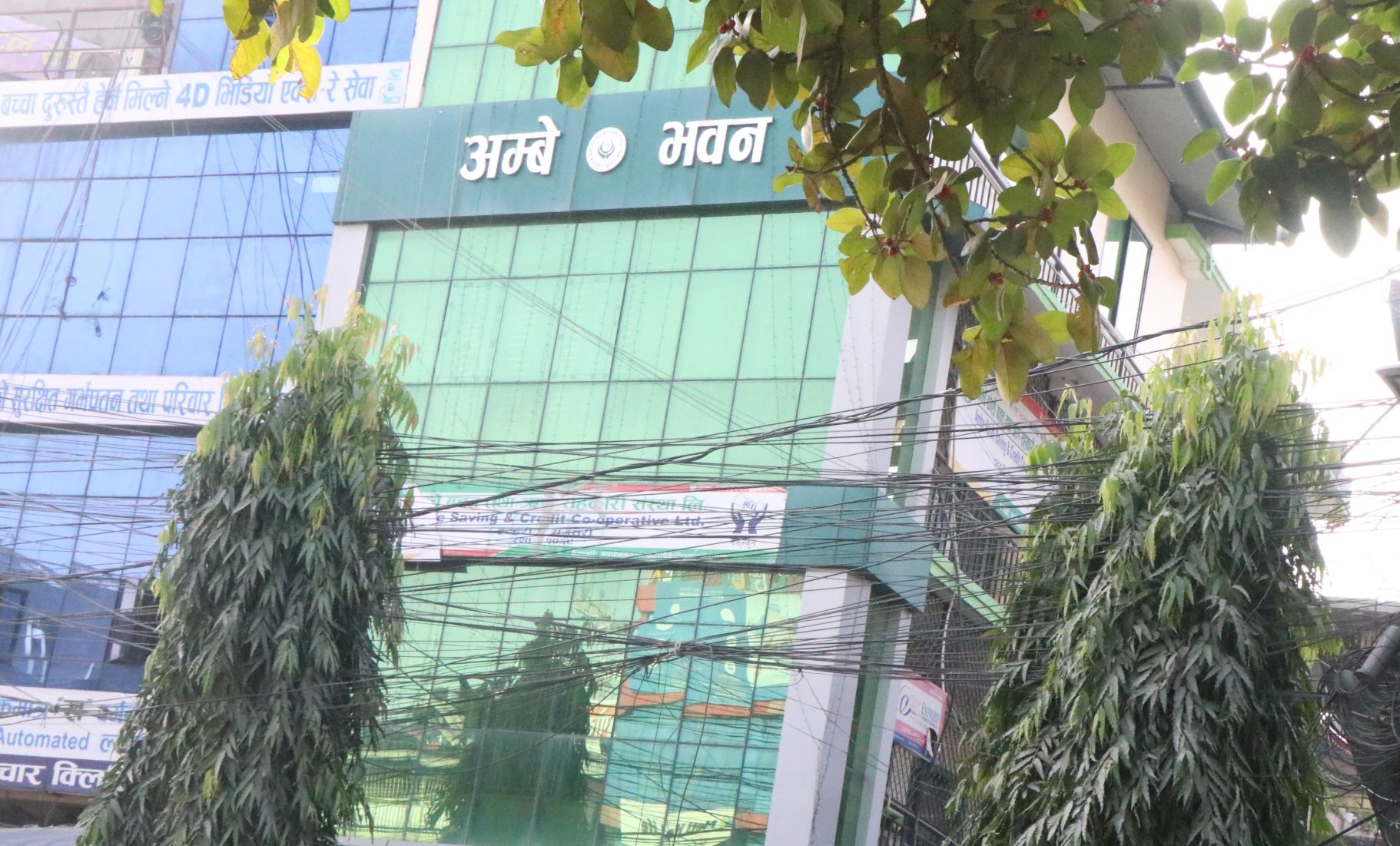 अम्बे कोसी बचत तथा ऋण सहकारी संस्थाका अध्यक्षसहित पाँचजना पक्राउ