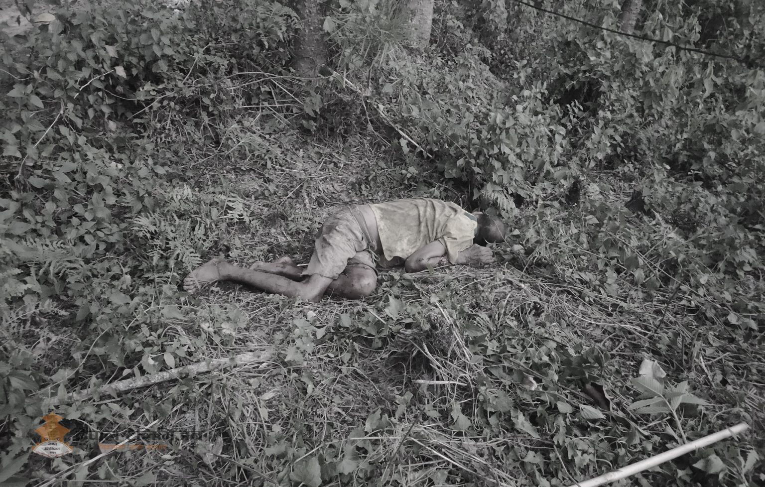 चितवन राष्ट्रिय निकुञ्जबाट निस्केको एक  गैंडाको आक्रमणबाट एकजनाको मृत्यु