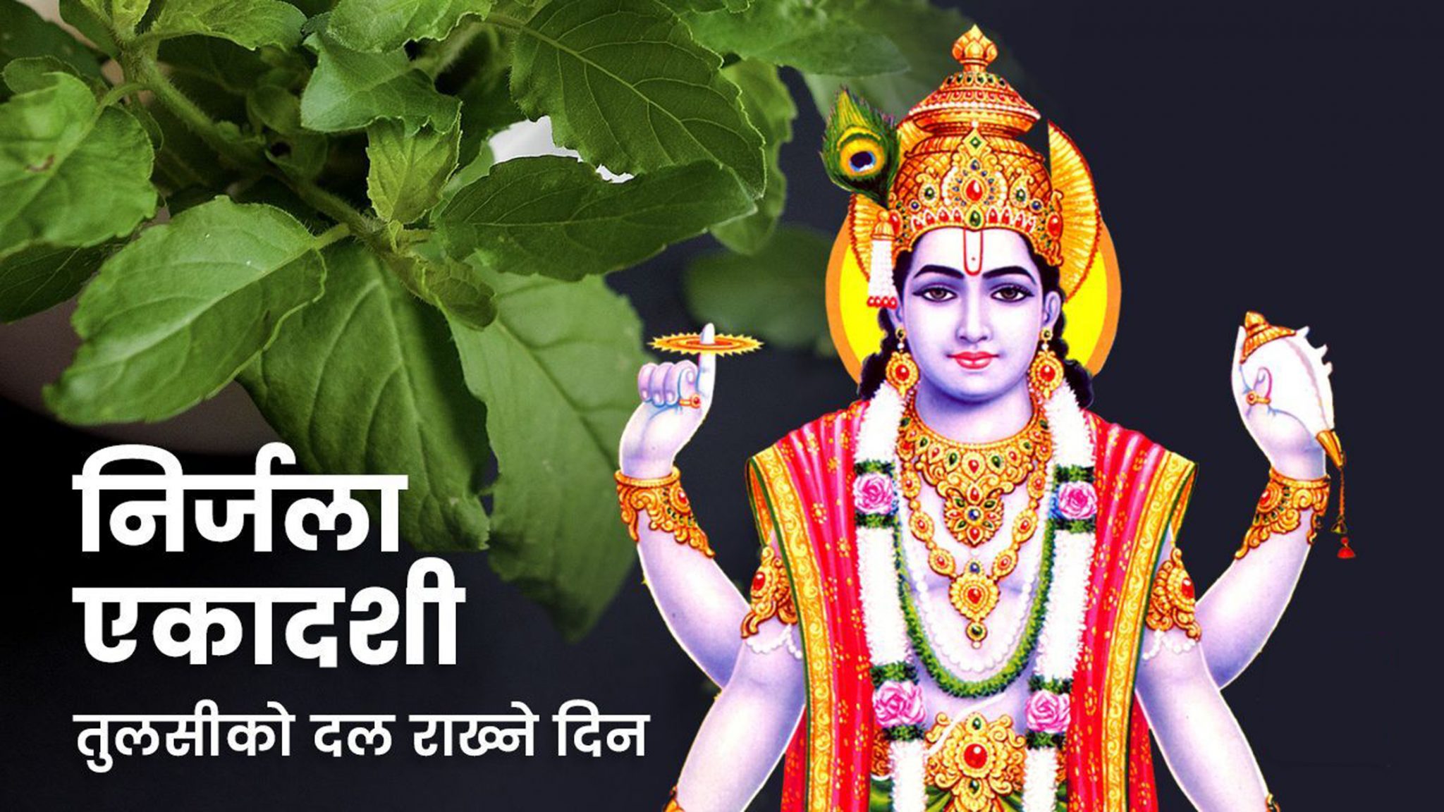 निर्जला एकादशी: घर घरमा तुलसीको दल राखिँदै